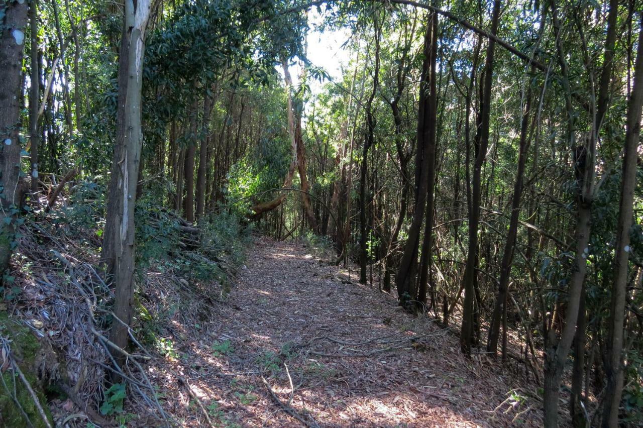 Quinta Sao Jose - Museu Do Triciclo Villa Mesao Frio Bagian luar foto